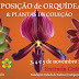 Exposição de Orquídeas e Plantas de Coleção
