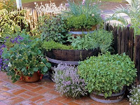 flower and herb garden ideas