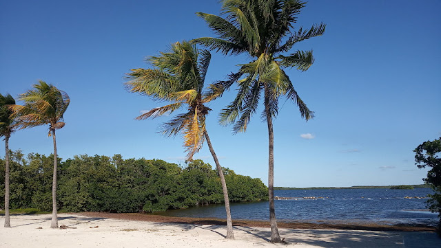 spiaggia al john pennekamp park