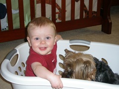 Parker and Maya in the laundry basket 2009-06-11 003