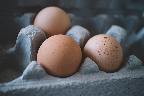 Top Tips for Finding the Reliable Egg Producers Who Don't Compromise on Quality