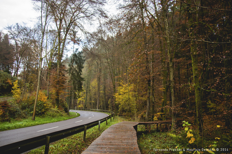 mullerthal trail Luxemburgo