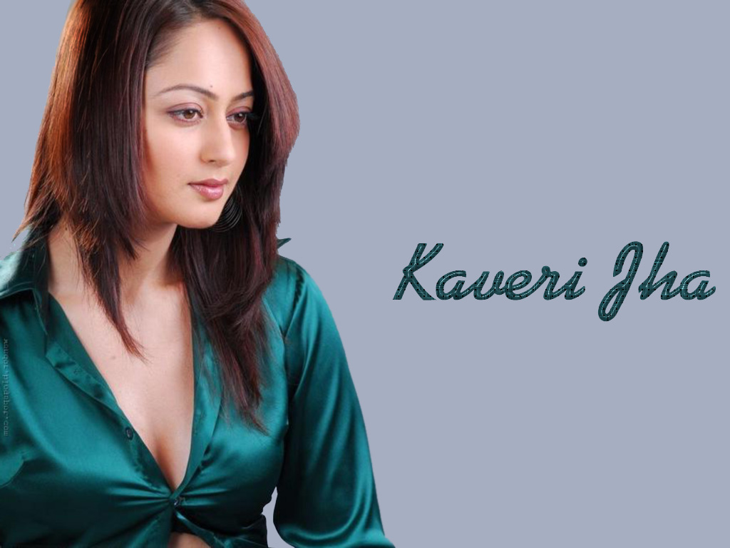 Best Photoshoot Of South Hottie Kaveri Jha