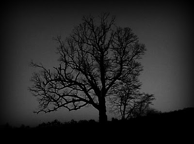 The Devil's Tree along Mountain Road in Somerset County, New Jersey is thought to be haunted by former slaves and others who were killed there over the years.