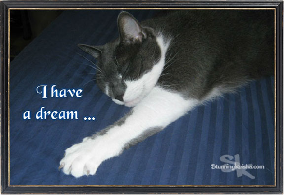 A Dream For all Anipals