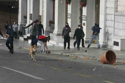 The Return of the Riot Dog Seen On www.coolpicturegallery.us