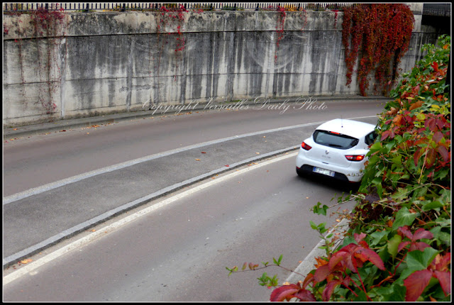 Automne Porchefontaine Versailles