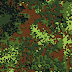 Digital Flecktarn