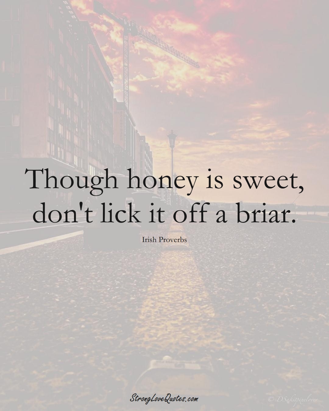 Though honey is sweet, don't lick it off a briar. (Irish Sayings);  #EuropeanSayings