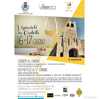 Vignaioli in Castello 16-17 giugno Desenzano del Garda (BS)