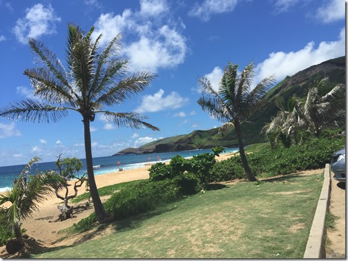 Hawaii 081