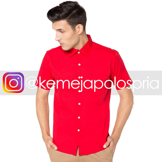 kemeja polos,kemeja polos pria,kemeja polos jogja,kemeja putih polos lengan panjang,kemeja polos malang,kemeja polos hitam,kemeja polos putih,kemeja polos couple,kemeja polos cowok,kemeja polos pria lengan panjang,kemeja polos pria murah,kemeja polos pria tanah abang,kemeja polos pria lengan pendek,kemeja polos pria panjang,kemeja polos pria slim fit,kemeja polos pria terbaru,kemeja polos pria 2017,kemeja polos pria big size,kemeja polos hitam lengan panjang,kemeja polos hitam bandung,kemeja polos hitam depan belakang,kemeja polos hitam pendek,kemeja polos hitam putih,kemeja polos hitam murah,kemeja polos hitam keren,kemeja polos putih pria,kemeja polos putih jogja,kemeja polos putih alisan,kemeja lengan pendek polos putih,kemeja polos putih slim fit,kemeja polos putih panjang,kemeja putih polos lengan panjang pria,kemeja polos cowok lengan panjang,kemeja polos cowok lengan pendek,kemeja polos cowok terbaru,kemeja polos cowok murah