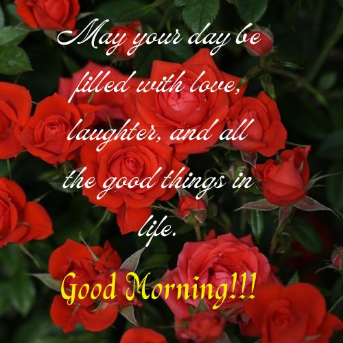 Red Roses Good Morning Images with Blessings