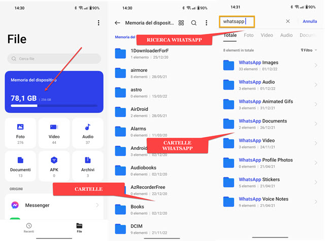 cercare le cartelle whatsapp