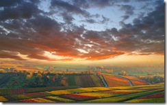 Landscape 1440x900 widescreen coolwallpaper (16)