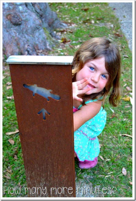 Platypus Viewing at Eungella | How Many More Minutes?
