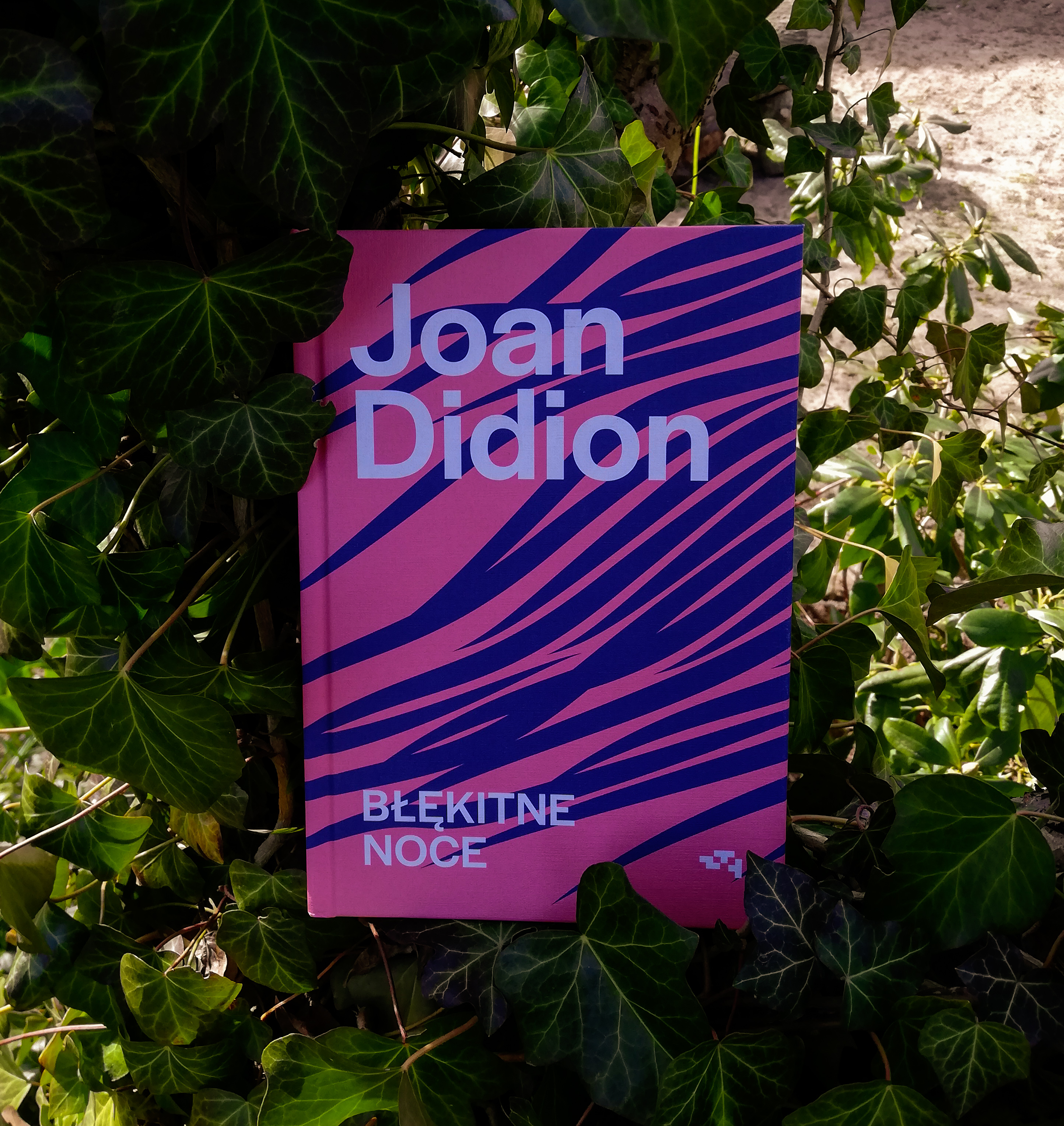 Recenzje książek: Błękitne noce - J. Didion #210
