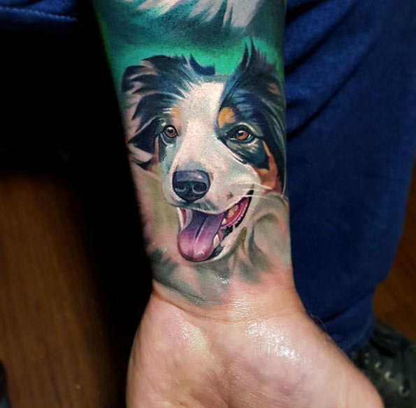 Esta bela border collie