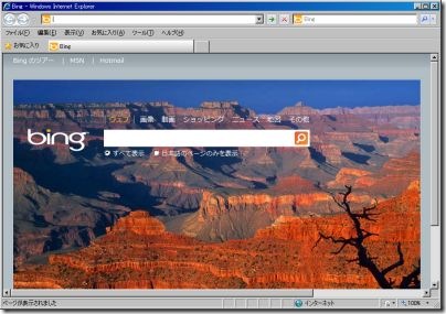 WebBrowser_IE8