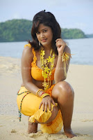 Soumya, hot, cleavage, and, navel, in, bikini, dress