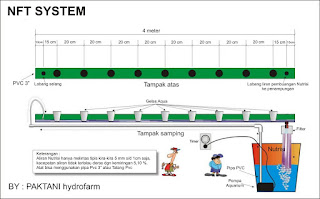 Nutrient Film Technique (NFT)