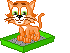 Gif de gatinho