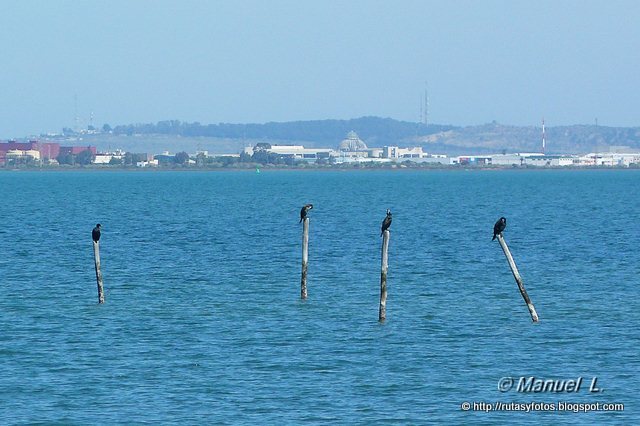 Salina Dolores y molino de marea de La Roqueta