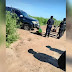DETIENEN EN ZONA RURAL SANTIAGUEÑA A NARCOS QUE ESCAPABAN DE ROSARIO
