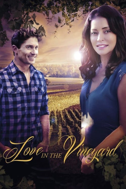 Download Love in the Vineyard 2016 Full Movie With English Subtitles