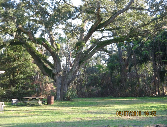 random shots 2-7-10 037