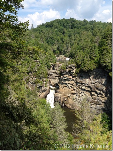 newland_NC 179