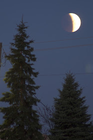 lunar eclipse photo april 4, 2015