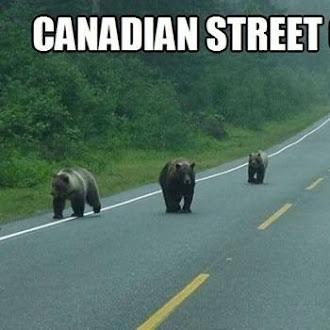 canadian street gangs