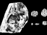  The biggest diamond ever found weighed the same as 7,692 bees.