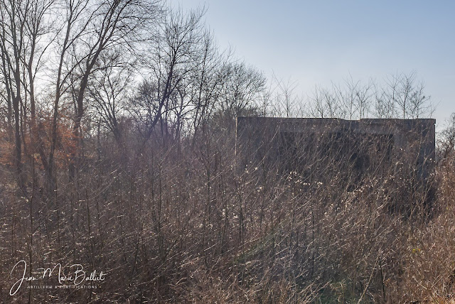 Casemate d'Instruction de la ligne Maginot - Secteur Fortifié de Colmar (Wolfgantzen). Etat 2009.