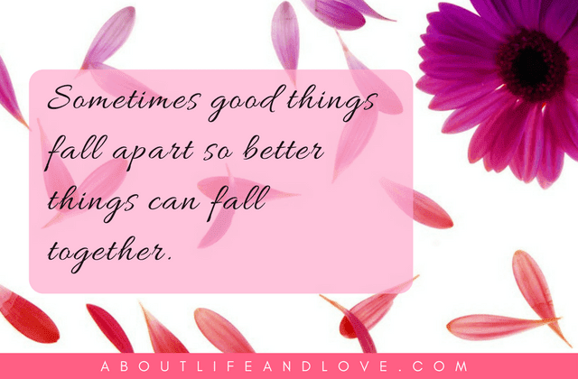 Sometimes Good Things Fall Apart