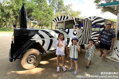 原來這才是動物園！一秒置身非洲草原 零距離體驗餵食樂趣 輕鬆