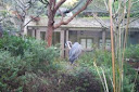 Coyote Point Museum Aviary