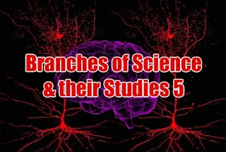 A List of Branches of Science and their Studies - 5