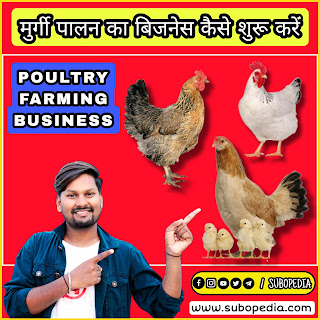 मुर्गी पालन का व्यापार (Business) कैसे शुरू करें | Poultry Farming Business Plan 2023 in Hindi