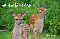 Sapne mein hiran dekhna (Deer Dream )  पूरी जानकारी in Hindi