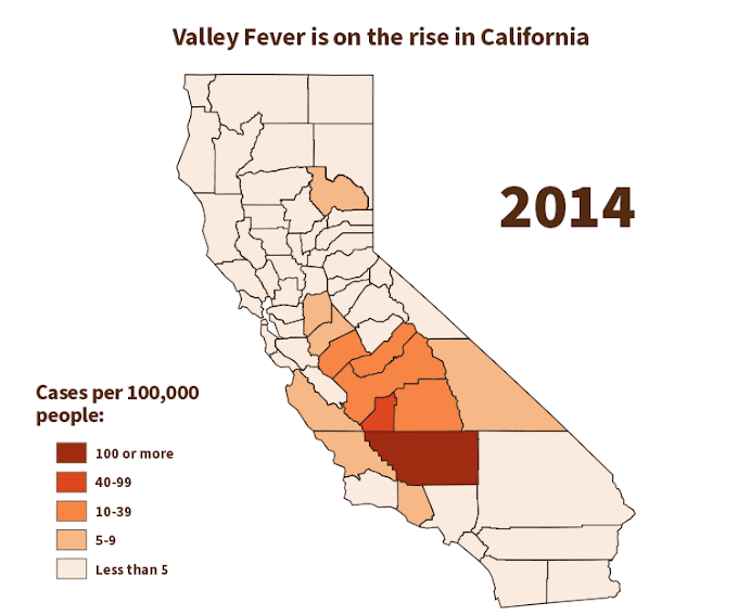 Califórnia sob ameaça: Febre do Vale pode se espalhar no Verão e Outono