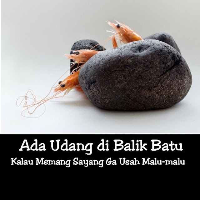 Ada Udang di Balik Batu, Kalau Memang Sayang Ga Usah Malu-malu