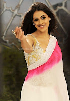 Genelia, hot, navel, saree, stills