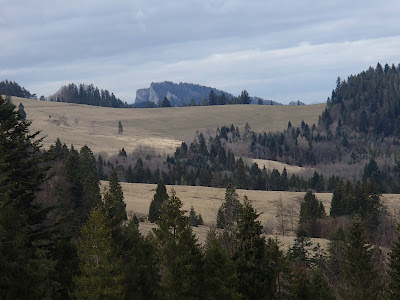 Szczawnica, szlaki turystyczne w Szczawnicy, schronisko pod Durbaszką, rezerwat Wysokie Skałki, Bukowinki, wąwóz Homole, grzyby wiosenne