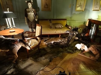 2018.06.10-106 taxidermie dans l'antichambre du château (17h06)