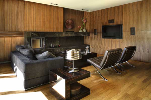 Design ideas living room with wood theme