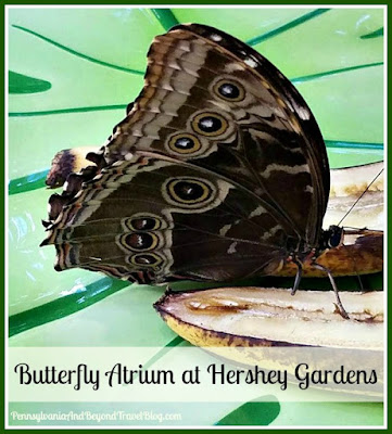 The Butterfly Atrium at Hershey Gardens in Pennsylvania