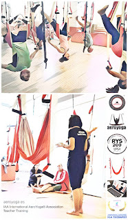AEROYOGA® Y AEROPILATES® BY RAFAEL MARTINEZ, yoga aereo, pilates aereo, cursos, formacion, airyoga, swing, yoga, ejercicio, salud, acreditacion, teacher training, trapeze, gravity, asociacion nacional