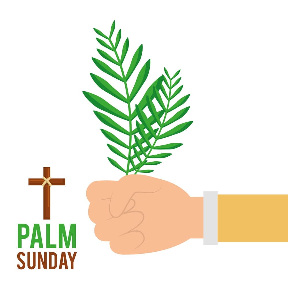 Palm Sunday Pictures